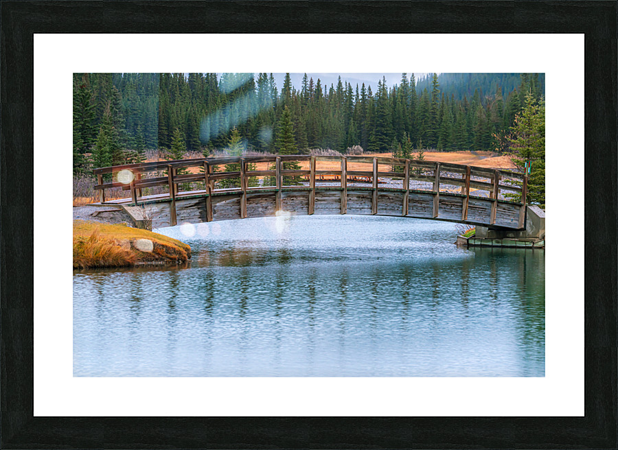 The Walking Bridge Picture Frame print