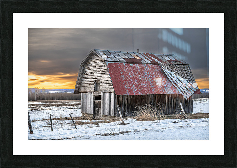 Wind Damaged Barn Picture Frame print