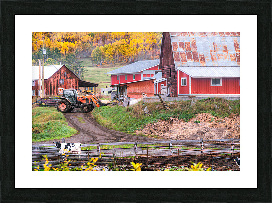 Working the Farm Picture Frame print
