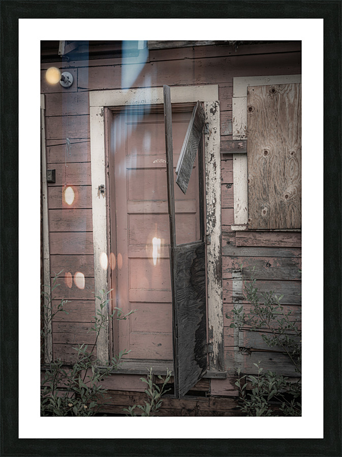 Doors1 Picture Frame print