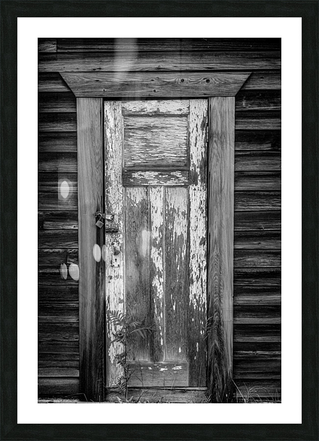Doors2 Picture Frame print