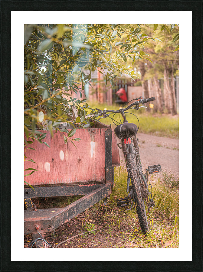 The Back Lane Bicycle Picture Frame print