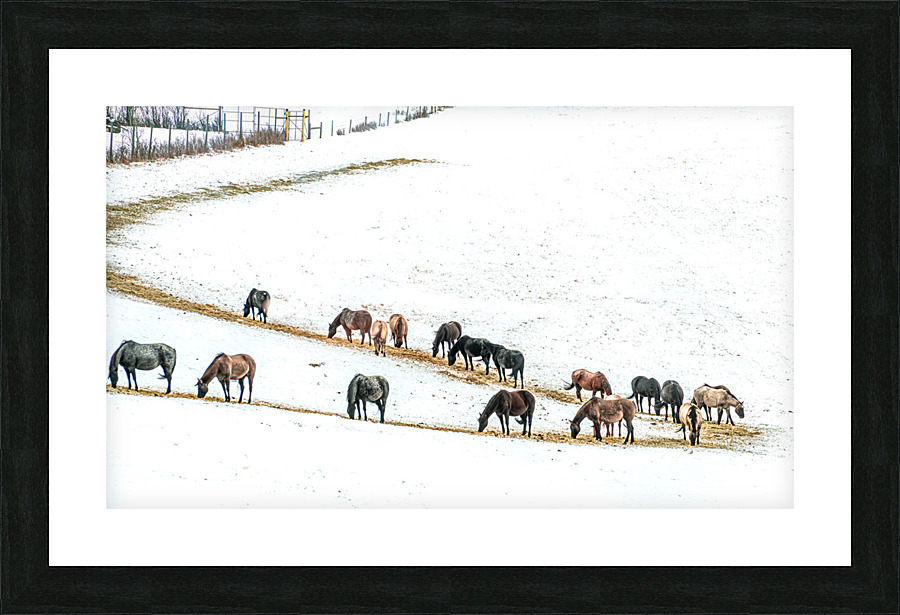 Grub Line Picture Frame print