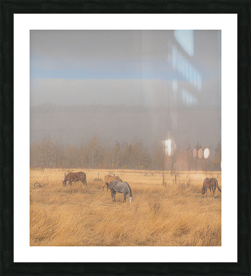 Grazing Before the Storm Picture Frame print