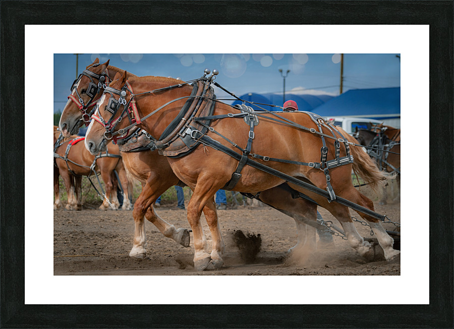 Horsepower Picture Frame print