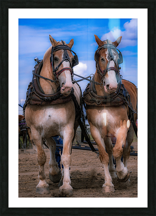 Teamwork Picture Frame print