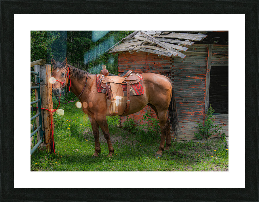 Ready to Ride Picture Frame print