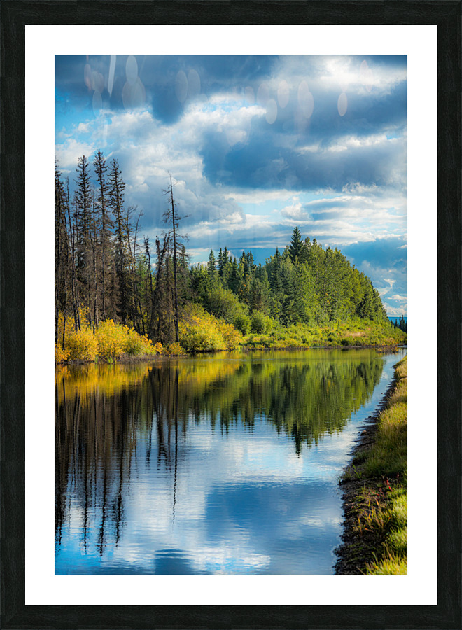 Beaver Pond Picture Frame print