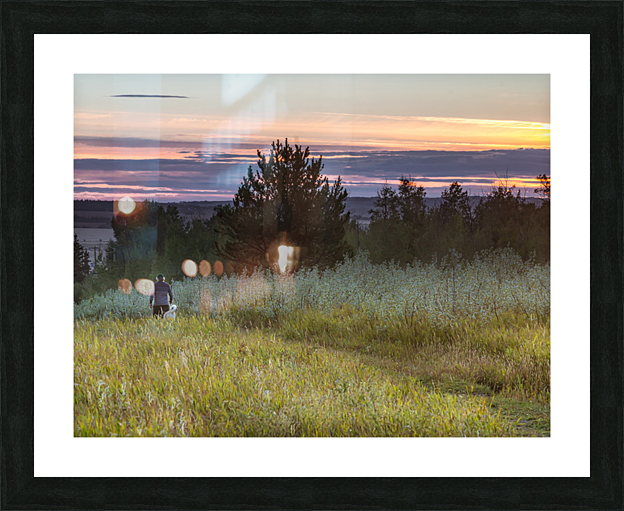 Evening Walk Picture Frame print