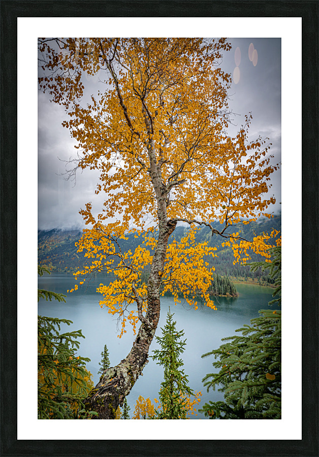 Lake Azouzetta Picture Frame print