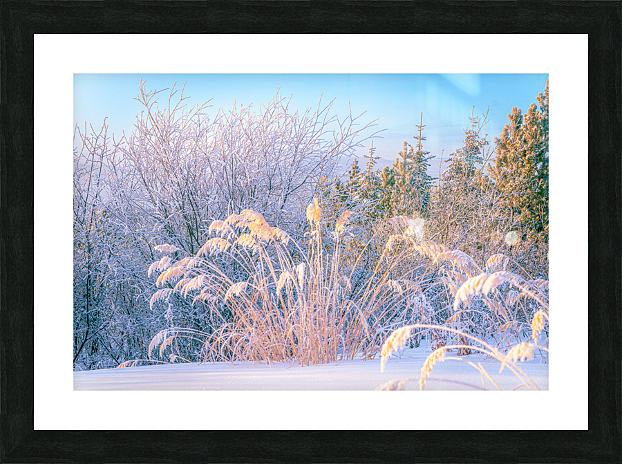 Natural Arrangement Picture Frame print