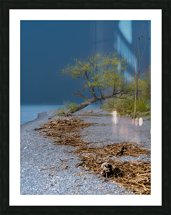 Newcastle Beach Picture Frame print