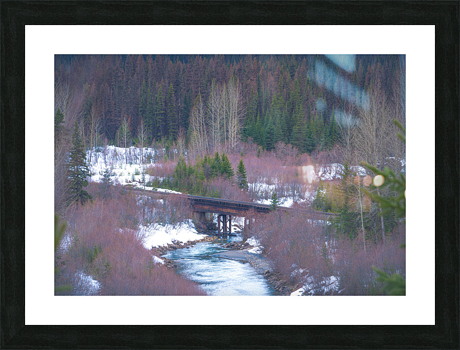 Pine River Picture Frame print