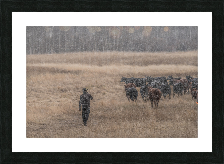 The Cowboy Picture Frame print