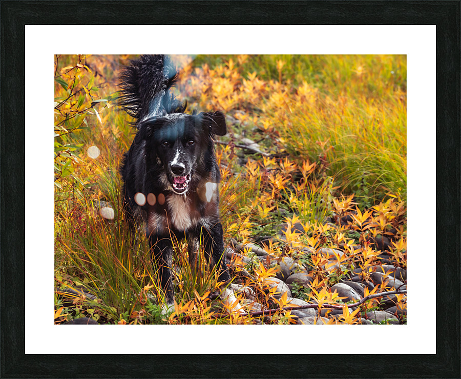 Loving Autumn Picture Frame print