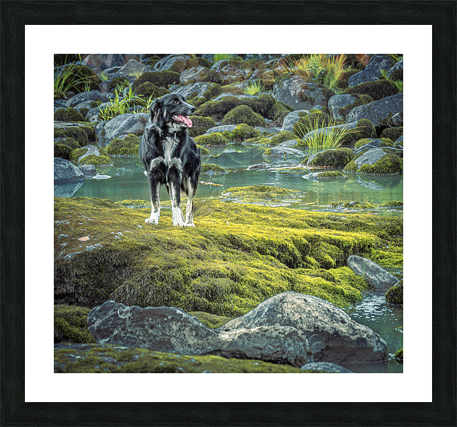 In Paradise Picture Frame print