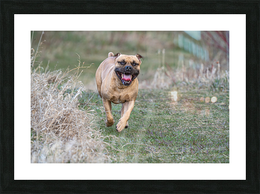 Smiley Picture Frame print