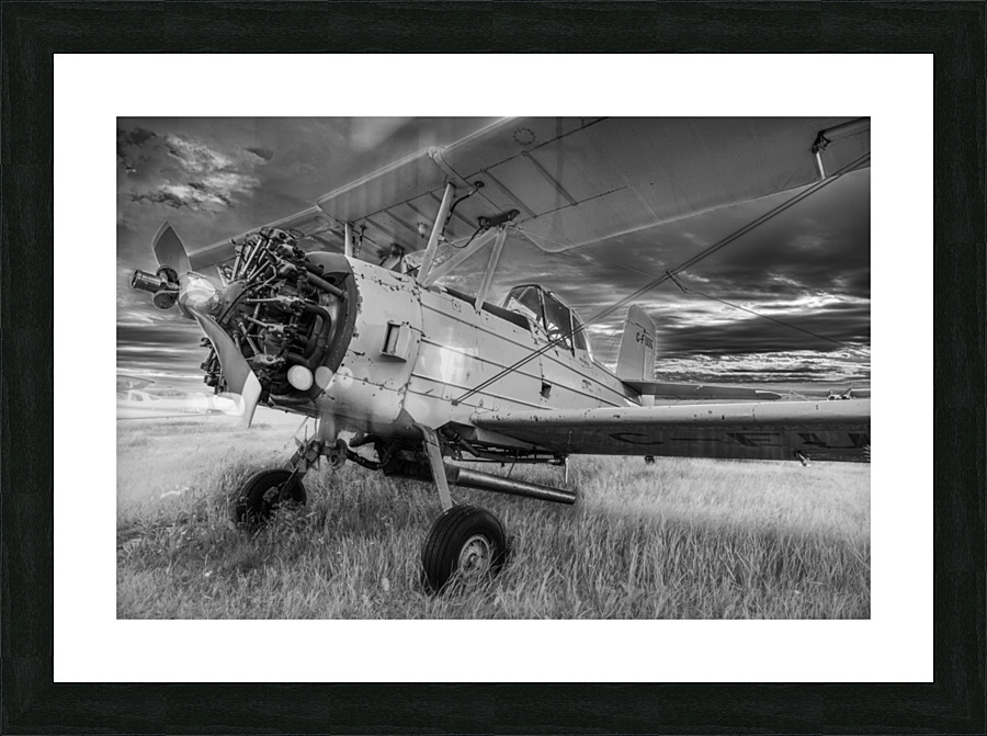 Crop Duster Picture Frame print