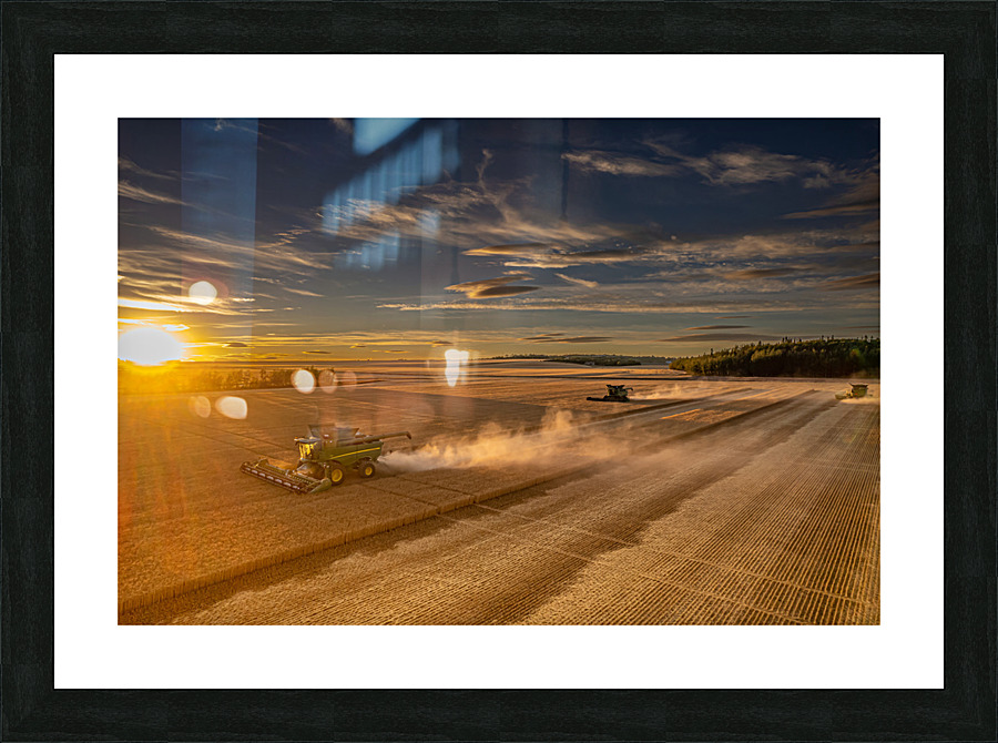 Harvesting at Sunset Picture Frame print