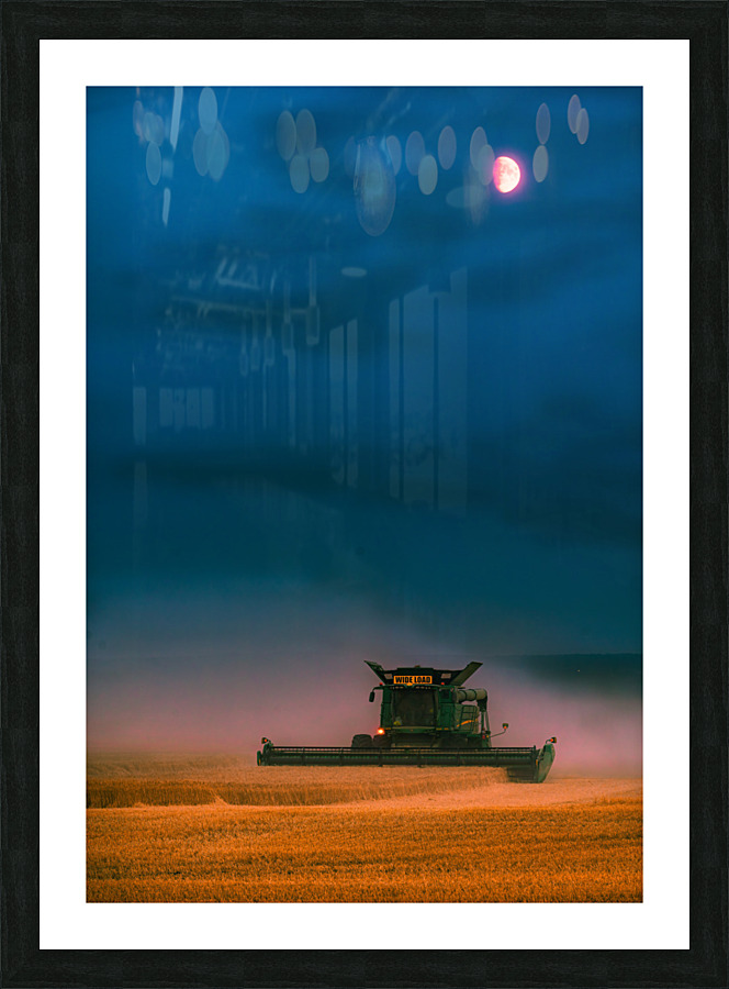Night Harvest Picture Frame print