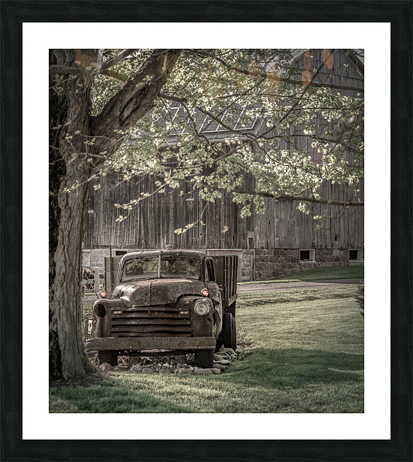 Under the Tree Picture Frame print