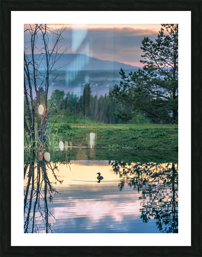 Evening Bath Picture Frame print