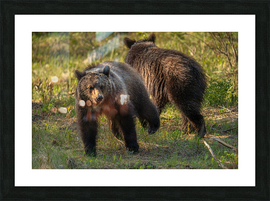  Fine Art print