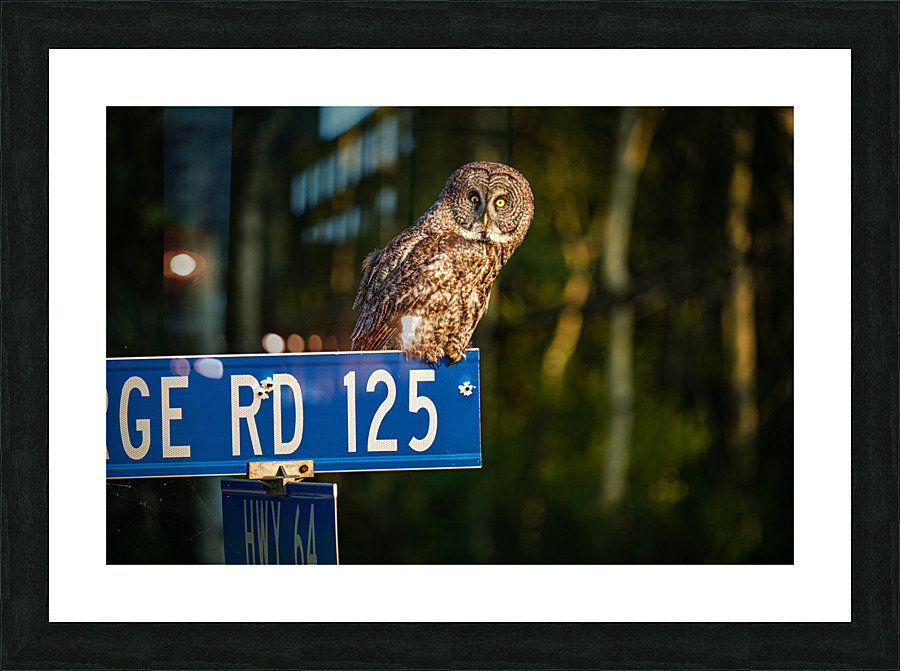  Fine Art print
