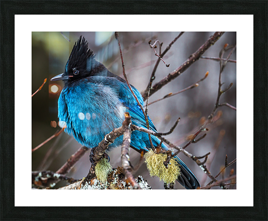 Fine Art print