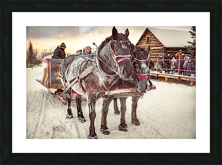  Fine Art print