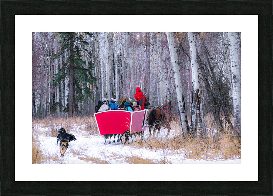  Fine Art print