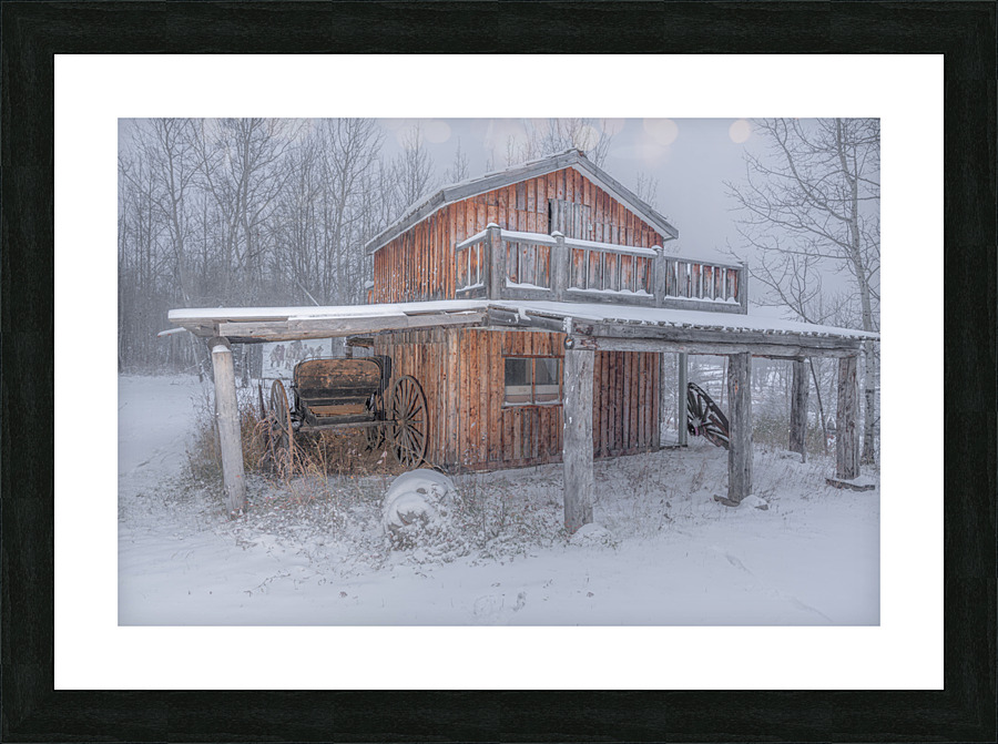  Fine Art print