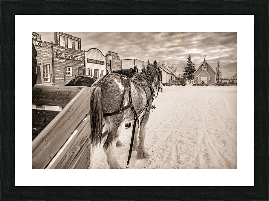  Fine Art print