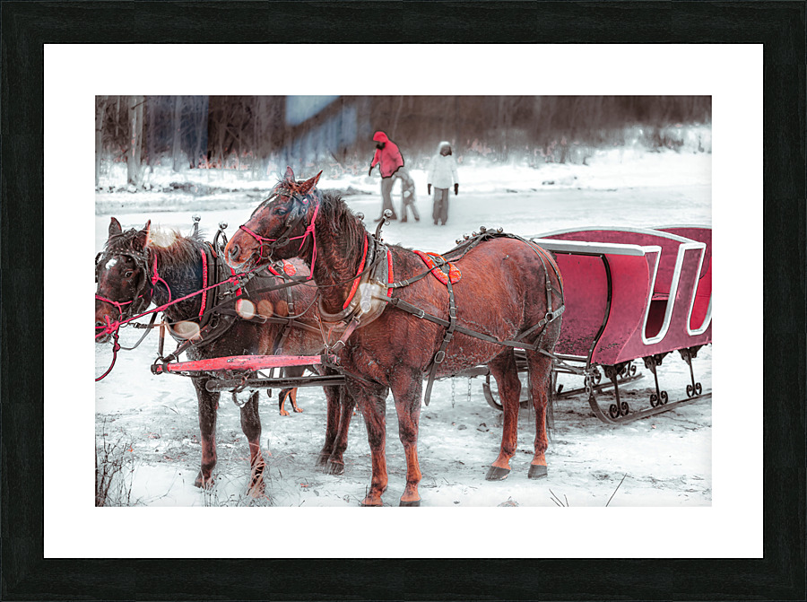  Fine Art print