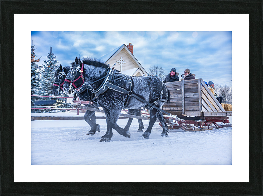  Fine Art print