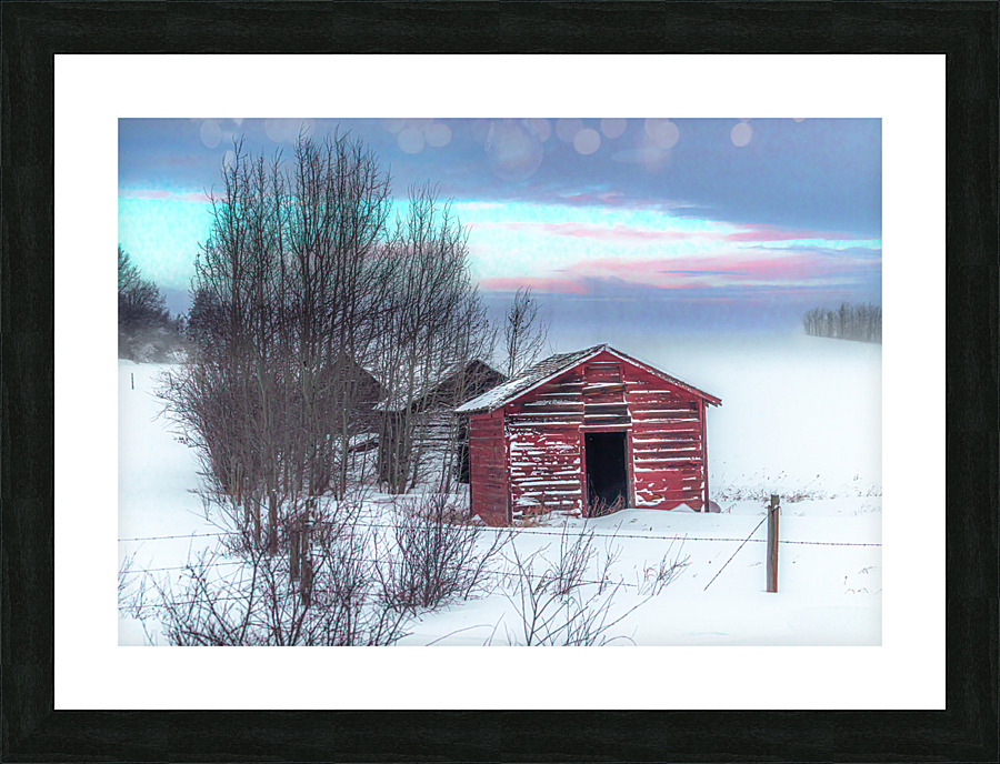  Fine Art print