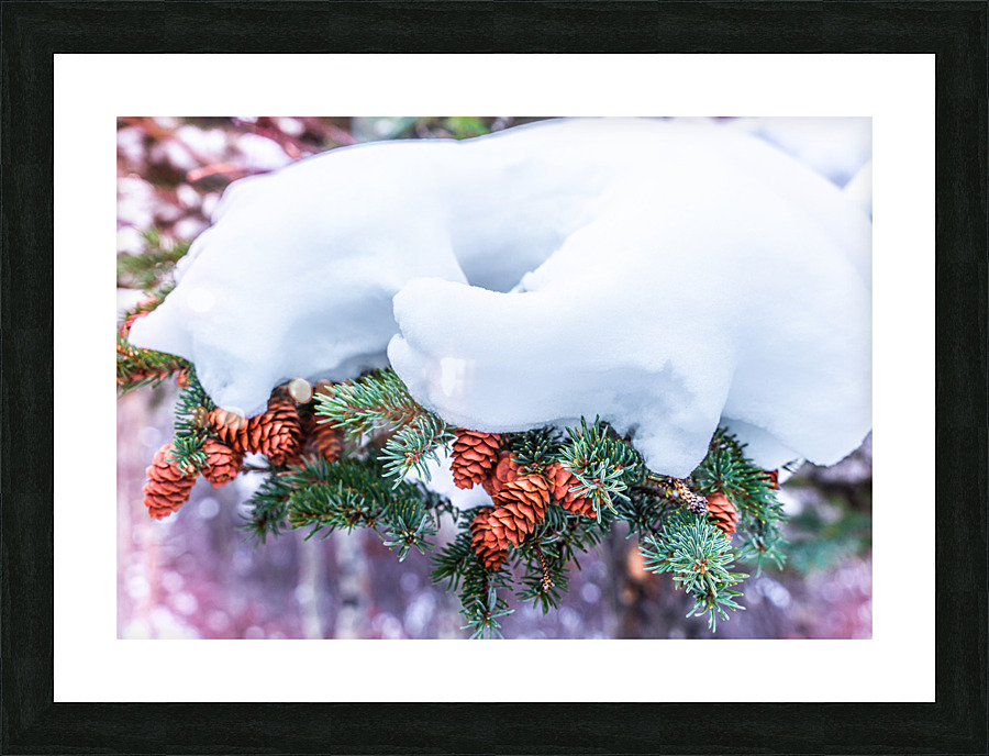 The Boot Picture Frame print