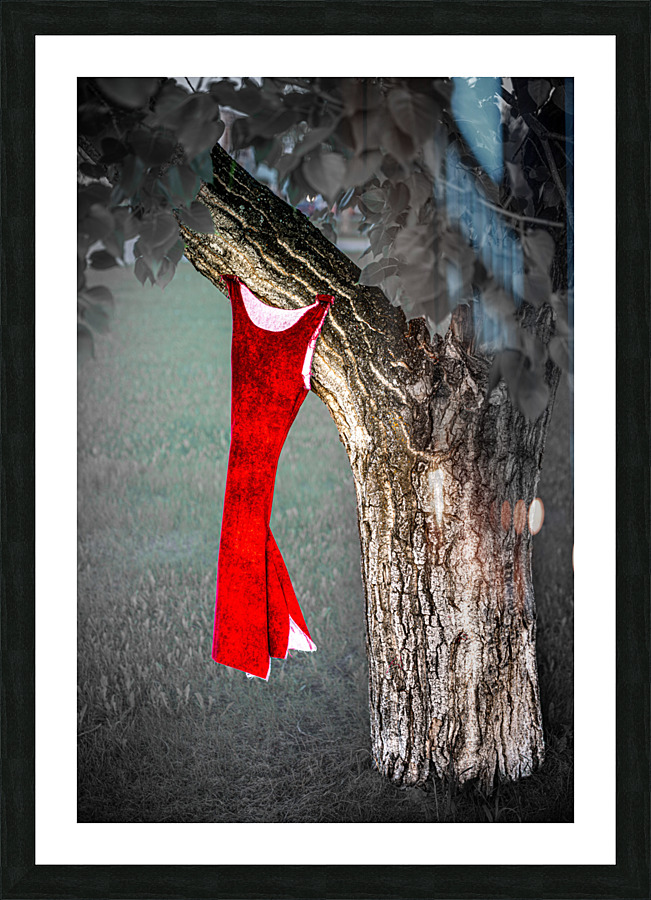  Fine Art print