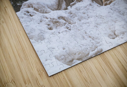 Barkerville Cabin Kevin MacLellan puzzle