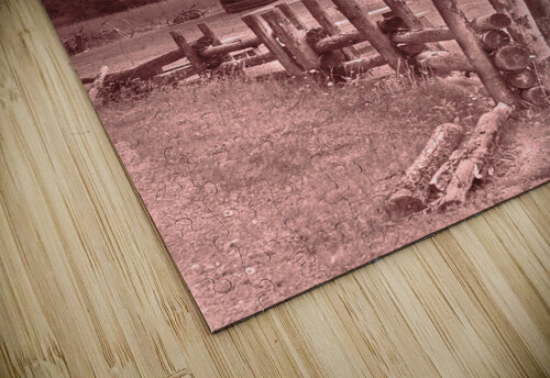Cottonwood Kevin MacLellan puzzle