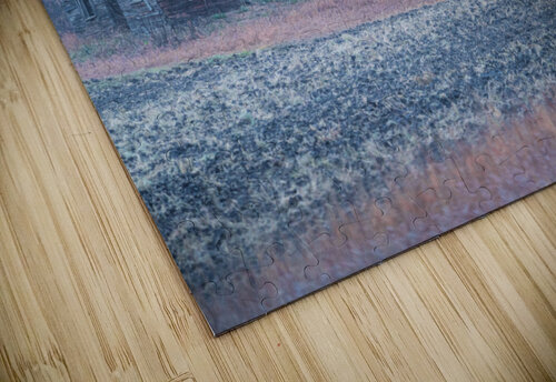 Decaying Homestead Kevin MacLellan puzzle