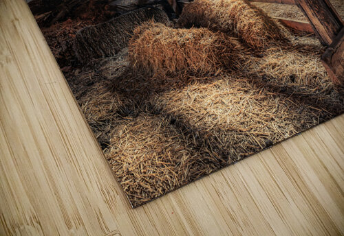 The Manger Kevin MacLellan puzzle