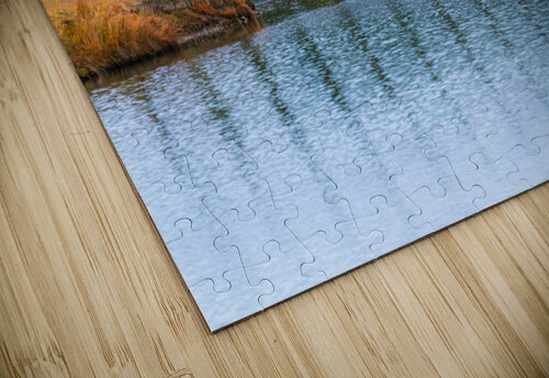 The Walking Bridge Kevin MacLellan puzzle