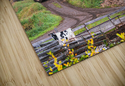 Working the Farm Kevin MacLellan puzzle