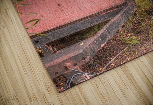 The Back Lane Bicycle Kevin MacLellan puzzle