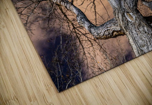 The Tree Kevin MacLellan puzzle