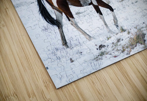 Horse Kicking Kevin MacLellan puzzle