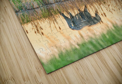 Horse Reflection Kevin MacLellan puzzle