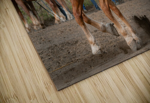 Horsepower Kevin MacLellan puzzle