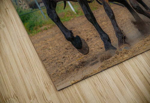 Majestic Beasts Kevin MacLellan puzzle